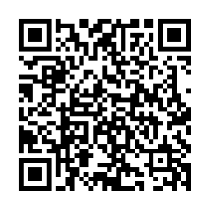 但是这两种丹药却是所有炼丹者在学习炼丹的过程中二维码生成