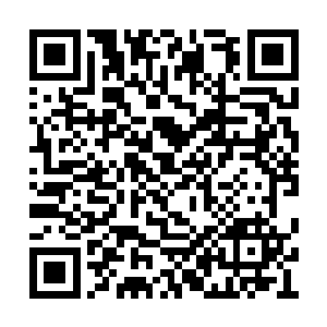 但是这个世界不管向下还是向上都已经无路可走二维码生成