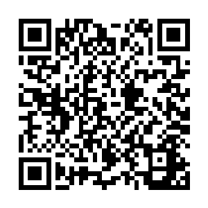 但是这个废物到底还是大楚王朝唯一的超一品世袭王爷二维码生成