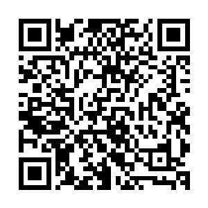 但是这个药液那可是顶级的易筋伐髓的至宝万年石钟乳勾兑的二维码生成