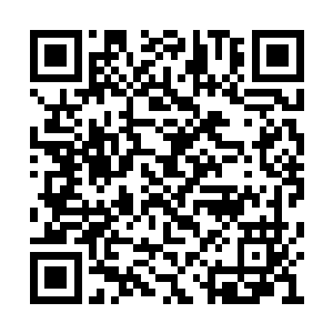 但是这个行业你以为自己真的还能够继续混去吗二维码生成