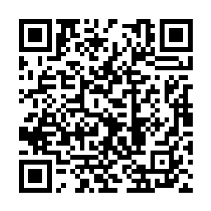 但是这么一个极具天赋的女孩落在了那个疯子手里二维码生成