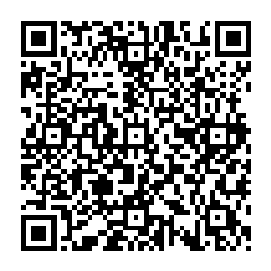 但是这么多年来犹如一座大山般压在众人脑子上的魔帝……还是让他们发自内心的畏惧二维码生成