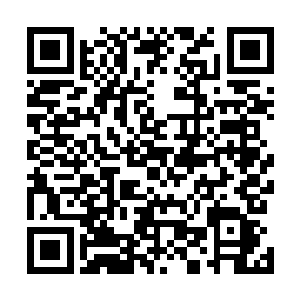 但是这也不对…叶莹为什么要为了我们出卖自己的亲姐姐二维码生成