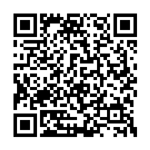 但是这也是许家来到星海之后损失最严重的一次二维码生成