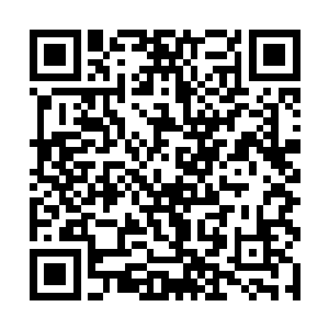 但是这些年洛美薇扑在洛氏的心血不比对靳如歌的少二维码生成