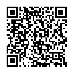 但是这些念丝全都在那混乱的域场中迷失了方向二维码生成