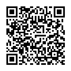 但是这信任重量也太沉了点······不过眼下别人更是没法看二维码生成