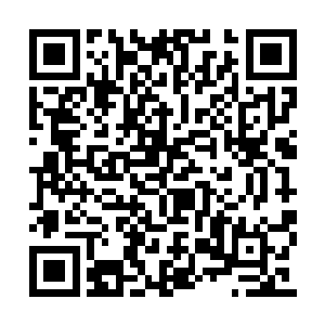 但是这几位信徒好像没有察觉到黑袍男子的出现二维码生成