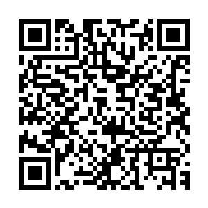 但是这几天梓箐有意无意就会在他们面前提起当初买房子的事情二维码生成