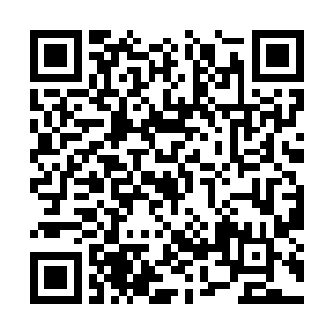 但是这几年蓝岛在基础设施建设投资上投入太大了二维码生成