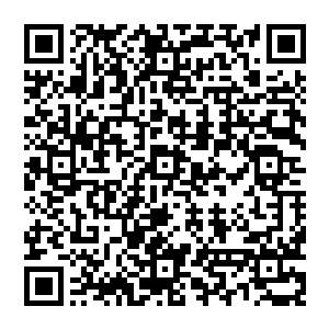 但是这半年她不是被追杀就是提升修为后继续在被追杀的路上……所以还没好好地逛过上游山呢二维码生成