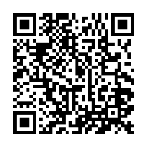 但是这却不是诸葛家族一直针对不凡集团的原因所在二维码生成