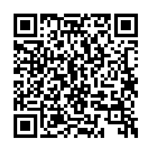但是这并不代表火猴就是传说中上古时期的凶兽二维码生成