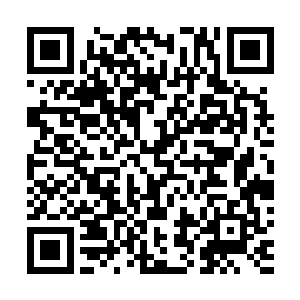 但是这时候的黑夜却是连半点要继续动手的意思都没有了二维码生成