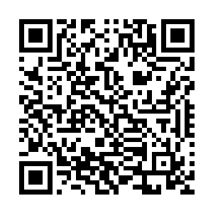 但是这杜十三却将几乎大半边山上的巨石搬到了他的洞府外面二维码生成