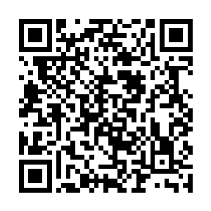 但是这样陌生的环境还真的就让自己有些许的小担心二维码生成