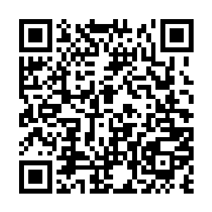 但是这次副本的资料你却不知道……我可以告诉你二维码生成