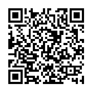 但是这次猎捕的新鲜的精灵宝钻全部都是六十阶以上的二维码生成