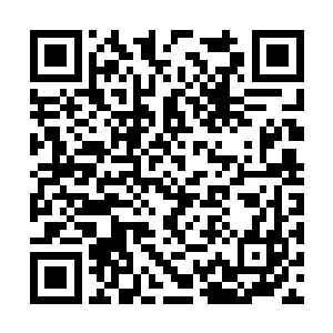 但是这段时间从吉隆坡开始搞建筑设计事务所以后二维码生成