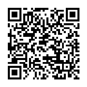 但是这种修补的程度还远远无法彻底容纳那盘古之灵的力量二维码生成