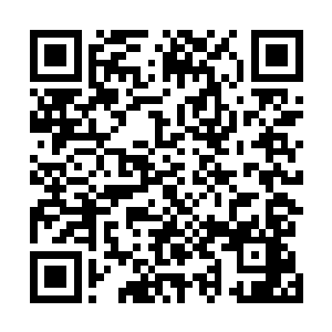 但是这种厉害的合击阵法却还是第一次见到……虽然阵法二维码生成