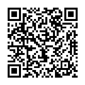 但是这种忌惮跟敌意在此刻一同为了一个人而挺身而出的时候二维码生成