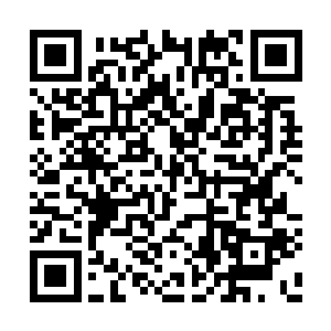 但是这符神的神力加持印是我白蚩家的镇宅之宝二维码生成