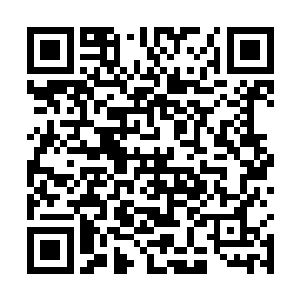 但是这群还有着保护那群猎人的约定的狗子不知道啊~二维码生成