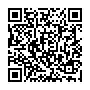 但是这聚宝盆却好像是无底洞一般根本就看不到尽头二维码生成