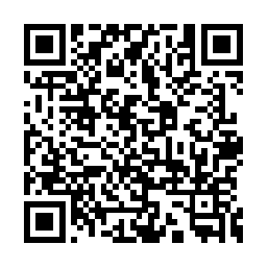 但是这里却是孕育着一场狂风暴雨般的民主革命二维码生成