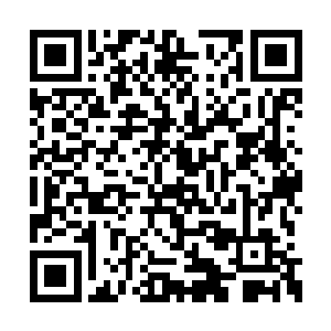 但是通过昨晚进入香榭丽舍庄园时所受到的刺激二维码生成