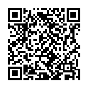 但是通过自己的儿子自己对于丁家的孩子有着一定的了解二维码生成