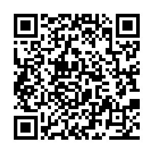 但是遇到了大祭司举行祭祀之前还是需要下跪行礼的二维码生成