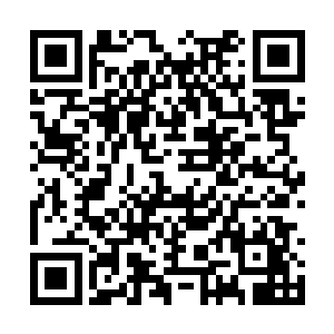 但是那一处绝对是整个灵兽的全身精华所凝集之处二维码生成