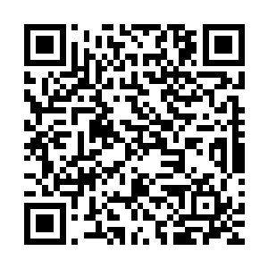 但是那一百多道仙诀和许紫烟释放的世界之力在中间相撞肆虐二维码生成