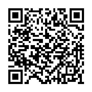 但是那三个圣级九层后期巅峰也不会一个不死吧二维码生成