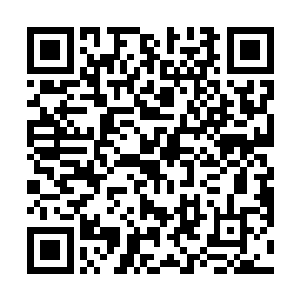 但是那不容忽视的热度让人感觉到了鲜活的生命的重量二维码生成