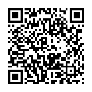 但是那个人究竟是谁这才是鬼王最关心的一件事情二维码生成