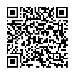 但是那个别元老竟然到这种时候还怕苏凡居心不良二维码生成