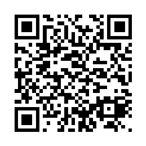 但是那个瘦瘦弱弱的蚊子表现还不错二维码生成