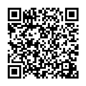 但是那举手投足间流露出的气势和锐气却让他这个堂堂七二维码生成