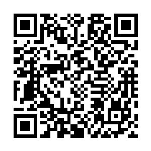但是那五个圣级一层的仙狱罪犯修为和许紫烟差得太大了二维码生成