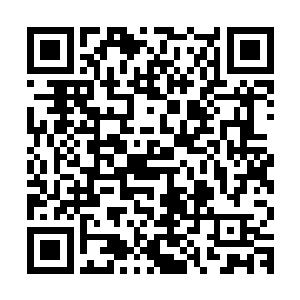 但是那些古老家族的老顽固们对于血脉的纯度却看得非常的重视二维码生成