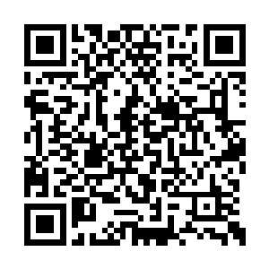 但是那些被攻破护山大阵的势力和散修死伤无数二维码生成