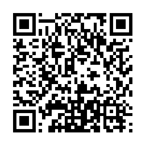 但是那偶露峥嵘却将一个人尊期大修士的威能展现无遗二维码生成