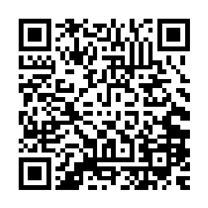 但是那双大的出奇的脚丫子和粗大的臂关节还是暴露了他的身份二维码生成