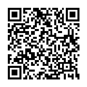 但是那句回家和我媳妇造小孩真特么的太伤人了二维码生成