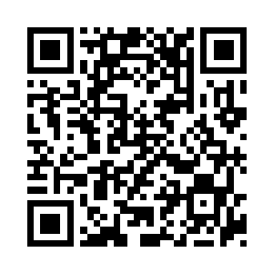 但是那尾巴羽毛不知道什么时候却变成了这个二维码生成