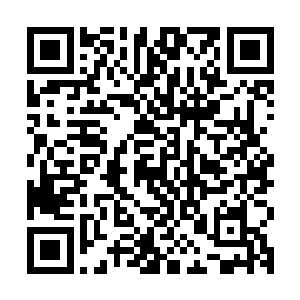 但是那强大的震荡之力依然会透过神甲传递到穿戴神甲的人身上二维码生成